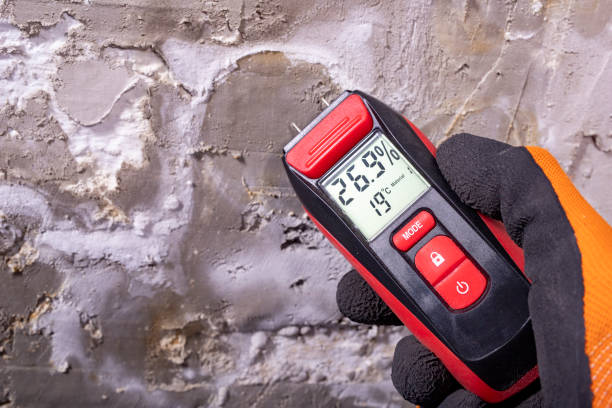 Crawl Space Mold Removal in Dexter, GA