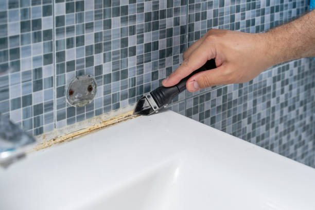  Dexter, GA Mold Removal Pros